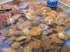 -九寸花汀海鲜烤肉自助(中东迪克店)