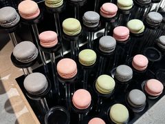 -曲水兰亭(北京四惠店)