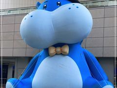 -盒马X会员店(王府井奥莱UP TOWN店)