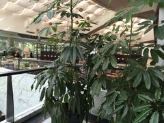 -大连富丽华大酒店·花都西餐厅