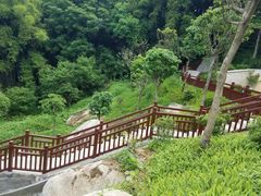 -天鹿湖森林公园