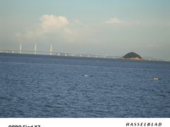 -野狸岛