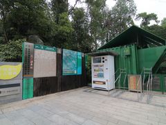 -银湖山郊野公园-相思林