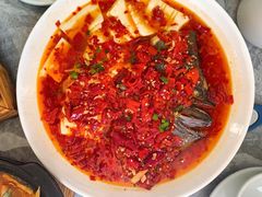 -鱼宴馆·家宴老字号淳鱼馆(千岛湖总店)