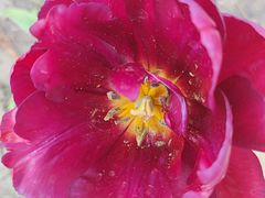 -长春公园(普阳街道)