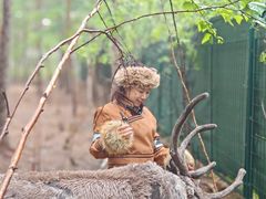 -北极村旅游风景区