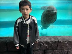 -嘉兴海底世界