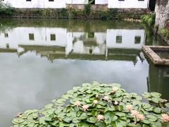 -东梓关景区村庄