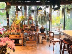 -自由生长植物工作室(深港花卉中心店)