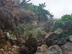 -三亚西岛海洋文化旅游区