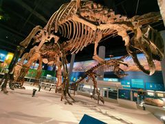 -国家自然博物馆