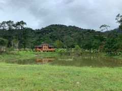 -海南热带雨林国家公园吊罗山景区