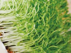 -左庭右院鲜牛肉火锅(苏州园区永旺店)