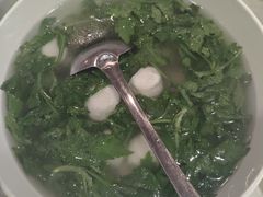 -丁老爷子苏香圆