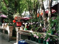 -园林美食城·本土农家菜(杨和镇店)