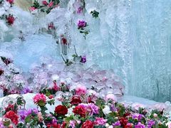 -洛阳白云山景区