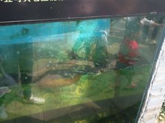 -晶宝温泉农庄