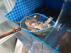 -宾朋海鲜美食餐厅·特色美食(兴海路店)