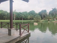-湖泉半山温泉