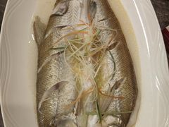 清蒸小白鱼-老牛窝里(总店)