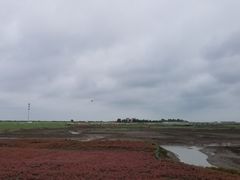 -红海滩国家风景廊道