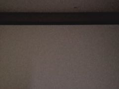 -文瀛公园