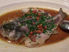 -上海宝华喜来登酒店·采悦轩中餐厅