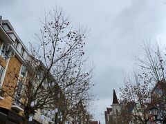 -四川省成都市彭州市白鹿镇