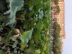 -哈尔滨师范大学(江南校区)