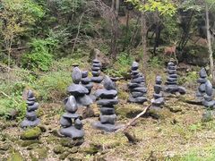 -茅兰沟国家森林公园