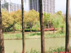 -南翔镇银翔湖公园