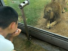 -西霞口神雕山野生动物世界