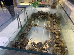 -川骄海鲜自助(河东店)