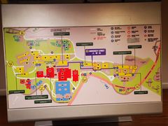 -香港大学