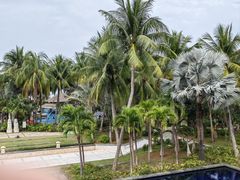 -海口喜来登酒店
