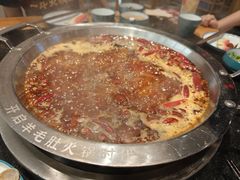 -一斗火锅·招财羊毛肚(泰吉滨江店)