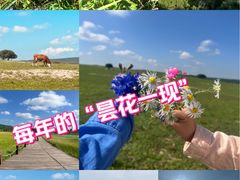 -御道口草原森林风景区