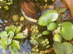 -川匠·睡眠采耳·SPA(九眼桥店)