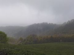 -敬亭山风景名胜区