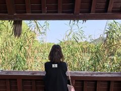 -长兴太湖图影湿地文化园