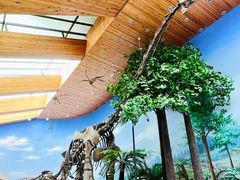 -延庆地质公园博物馆