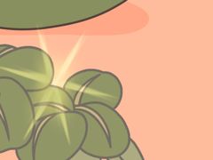 -九鼎鲜迷宗蟹(玉环店)