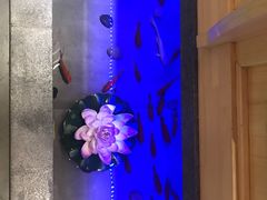 -九田家黑牛烤肉料理(中北镇店)
