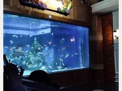 -成都浩海立方海洋公园