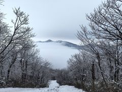 -安吉龙王山风景区