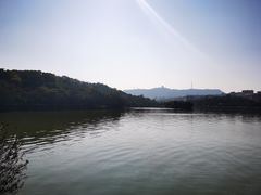 -桥东喜碧海鲜街(水东街店)