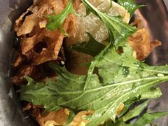 -Ocean's Table 欧舍