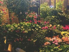 -胡桃里音乐餐厅(陶溪川店)(川湘赣菜·世界百大酒庄直供红酒·音乐表演)
