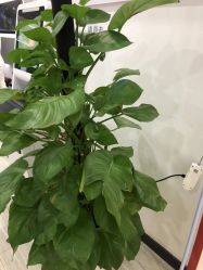 -悟空祛痘·亚健康皮肤管理中心