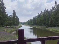 -黄海国家森林公园